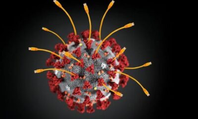 5 Questions Private Equity is Asking about Coronavirus