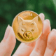 Some benefits of buying Shiba Coin Cryptocurrency.