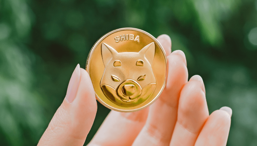 Some benefits of buying Shiba Coin Cryptocurrency.