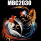 Mbc2030