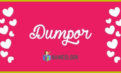 Dumpor