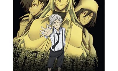 bungou stray dogs watch order