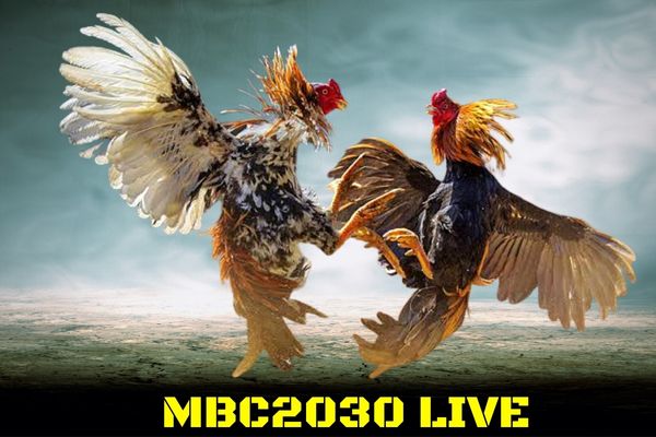 mbc2030