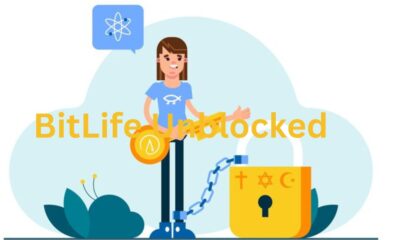 BitLife Unblocked: A Comprehensive Guide to Enjoying BitLife Anywhere