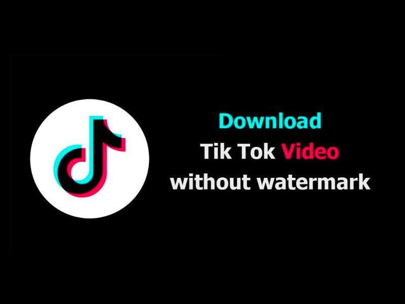 TikTok Video Downloads, download video tiktok