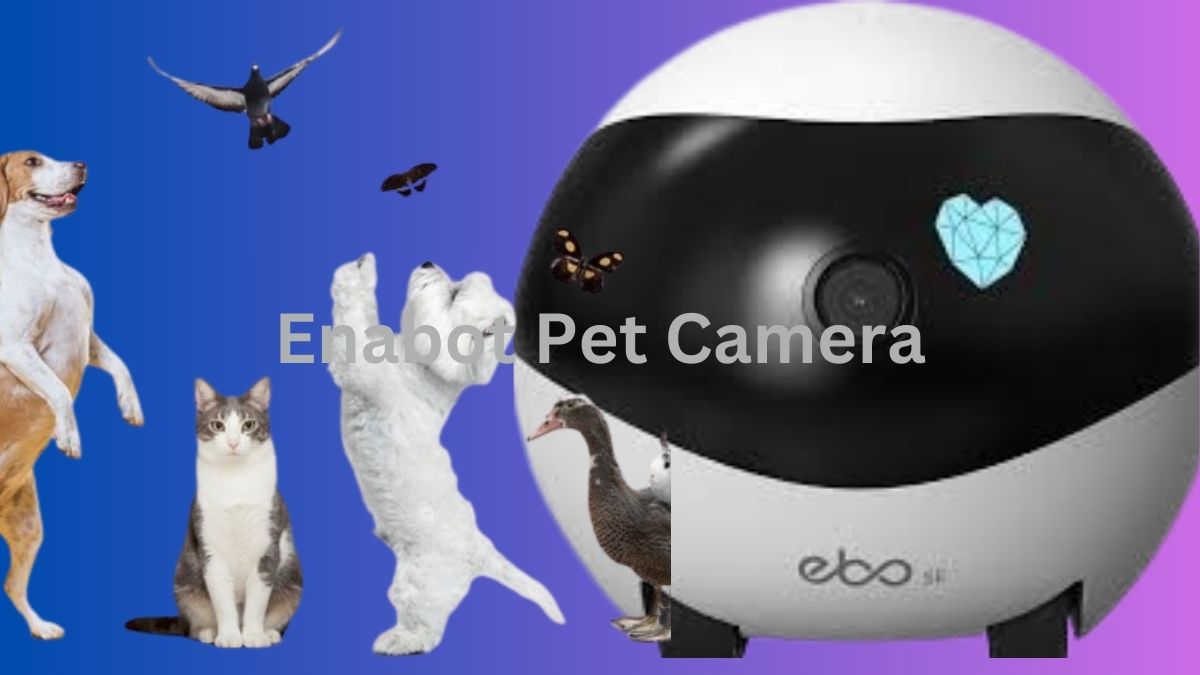 Top Benefits of Using the Enabot Pet Camera