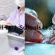 Top Accredited Online Nail Tech Schools in 2024
