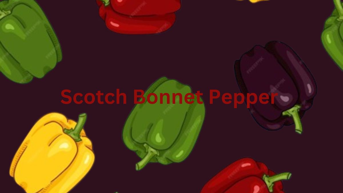 Scotch Bonnet Pepper into Your Diet