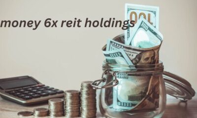 Money 6x REIT Holdings