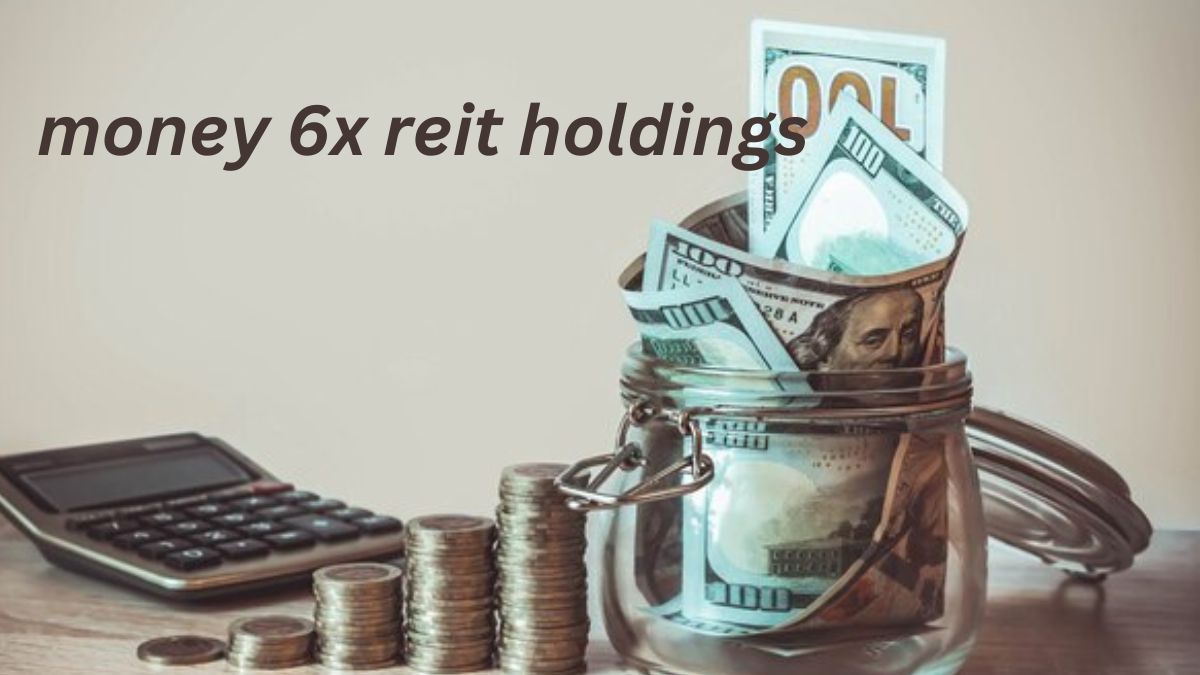 Money 6x REIT Holdings