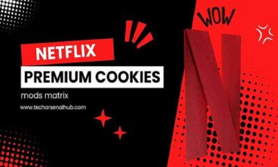 A detailed interface of Netflix premium cookies mods matrix for secure and enhanced streaming access.