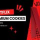 A detailed interface of Netflix premium cookies mods matrix for secure and enhanced streaming access.