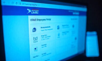 An overview of the USPS Liteblue portal interface for employees.