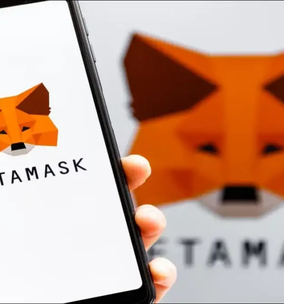 A user downloading and installing MetaMask Tumbl on their computer to manage Ethereum-based assets.