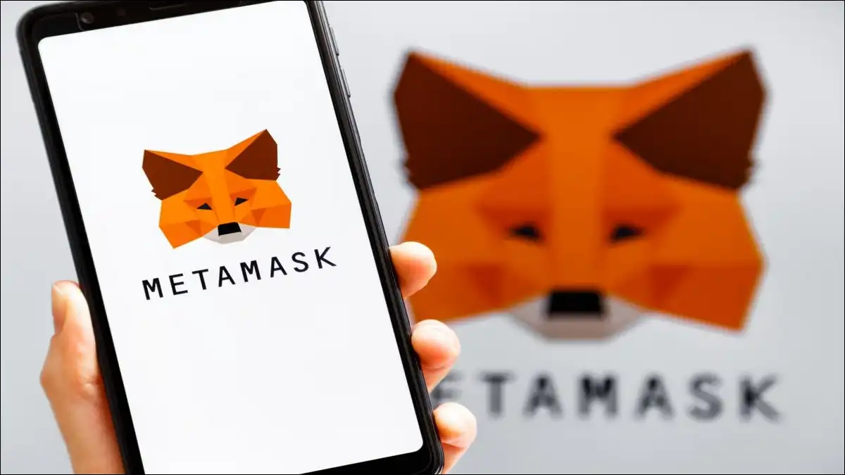 A user downloading and installing MetaMask Tumbl on their computer to manage Ethereum-based assets.