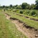 Creek-to-Ridge Design: Effective Water Management for Regenerative Landscapes